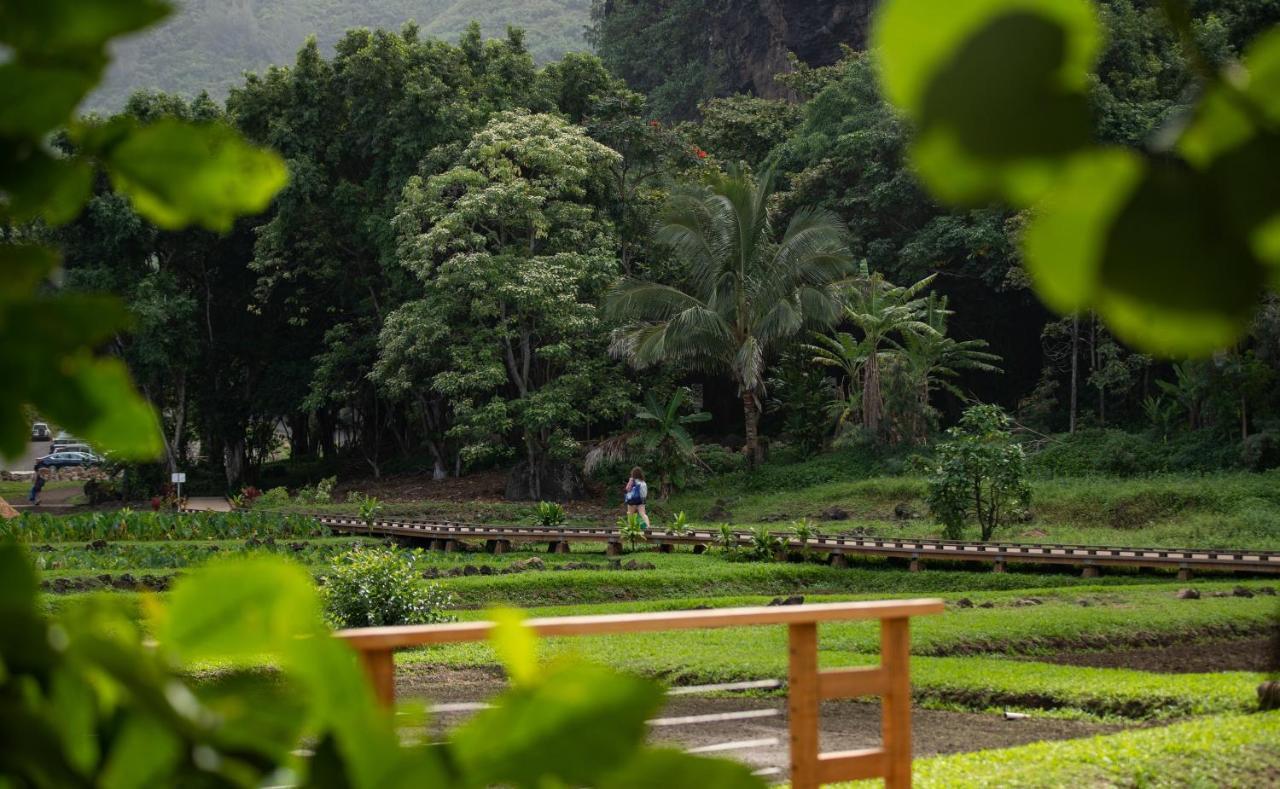 Hanalei Colony Resort Exterior foto
